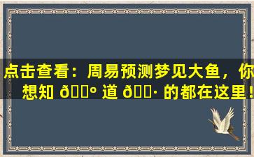 点击查看：周易预测梦见大鱼，你想知 🐺 道 🌷 的都在这里！